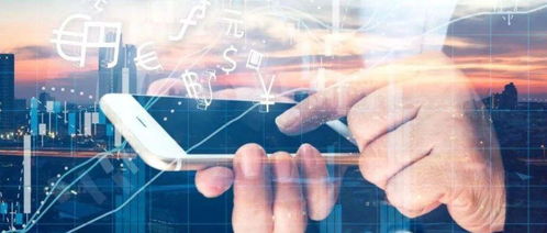 林志剛與網絡信息安全軟件開發